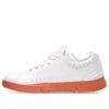 Advantage x The Roger „Alb Canyon”