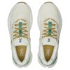Cloudrunner 2 „Verde Netopit”