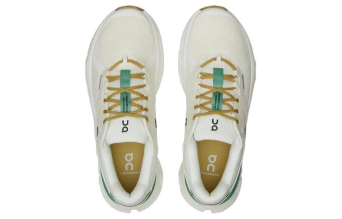 Cloudrunner 2 „Verde Netopit”