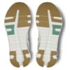 Cloudrunner 2 „Verde Netopit”